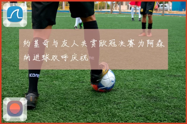 约基奇与友人共赏欧冠决赛为阿森纳进球欢呼庆祝