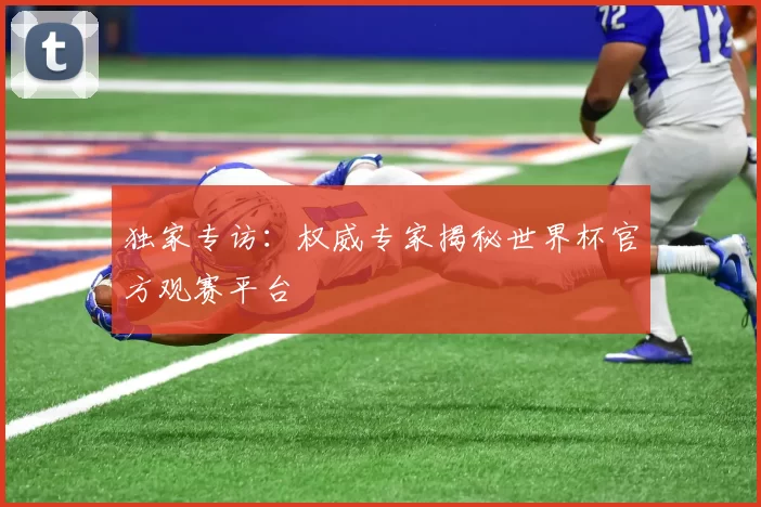 独家专访：权威专家揭秘世界杯官方观赛平台