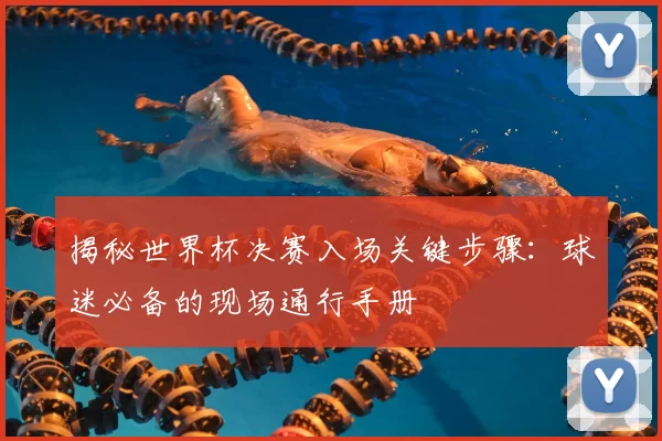 揭秘世界杯决赛入场关键步骤：球迷必备的现场通行手册