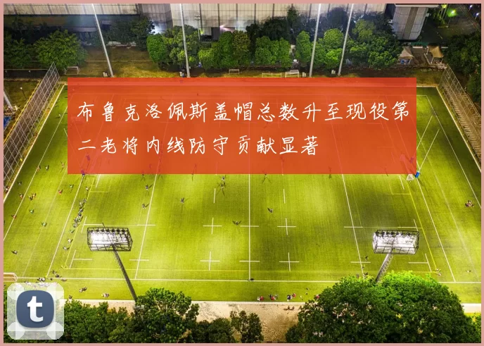 布鲁克洛佩斯盖帽总数升至现役第二老将内线防守贡献显著