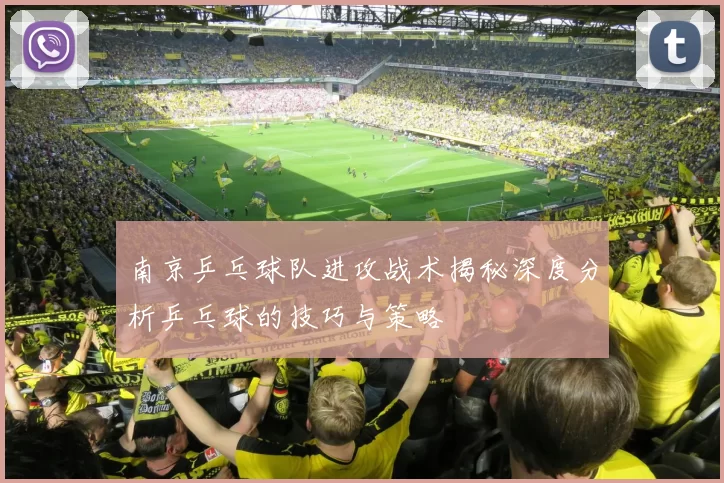 南京乒乓球队进攻战术揭秘深度分析乒乓球的技巧与策略