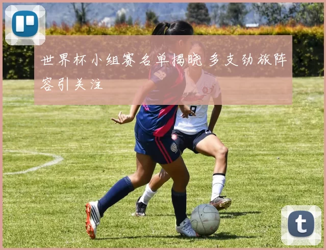 世界杯小组赛名单揭晓 多支劲旅阵容引关注