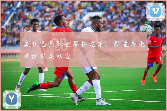 聚焦巴西队世界杯名单：新星与老将的完美结合