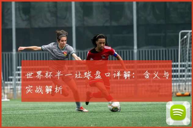 世界杯半一让球盘口详解：含义与实战解析