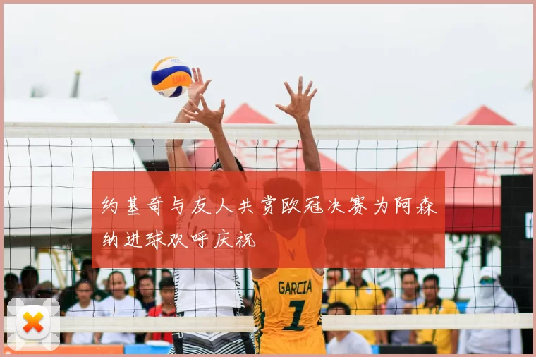约基奇与友人共赏欧冠决赛为阿森纳进球欢呼庆祝