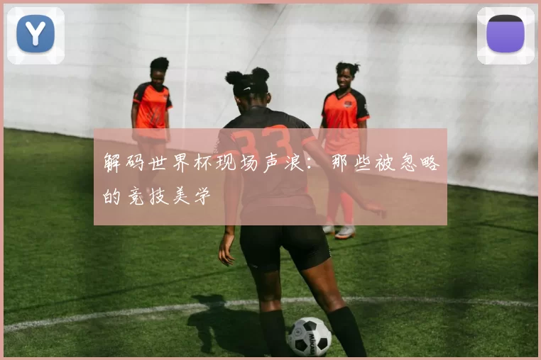 解码世界杯现场声浪:那些被忽略的竞技美学