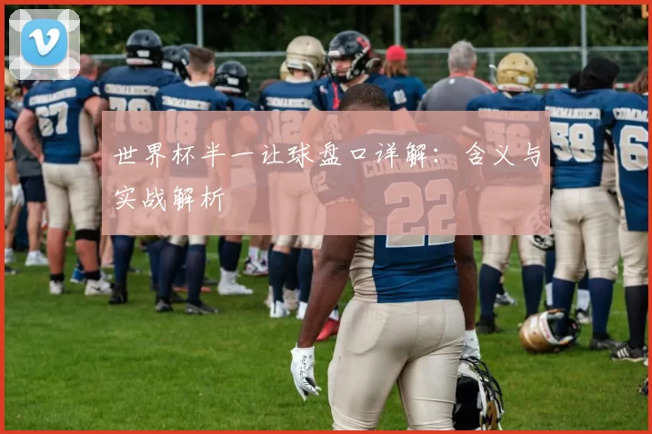 世界杯半一让球盘口详解：含义与实战解析