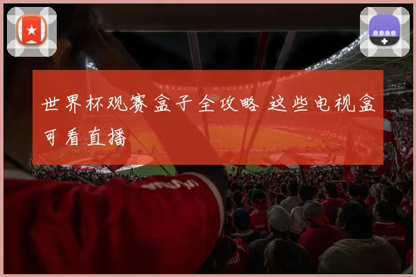 世界杯观赛盒子全攻略 这些电视盒可看直播