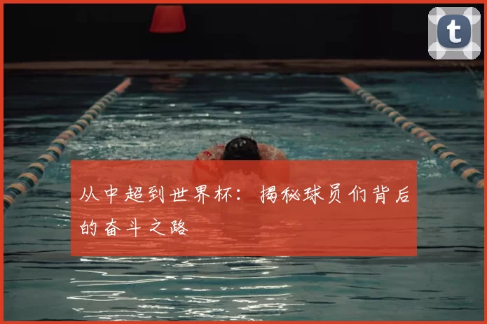 从中超到世界杯：揭秘球员们背后的奋斗之路
