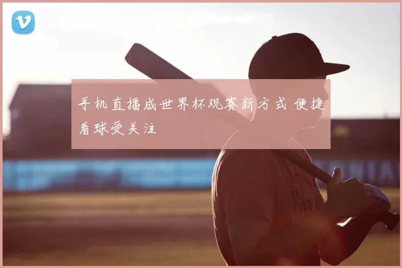 手机直播成世界杯观赛新方式 便捷看球受关注