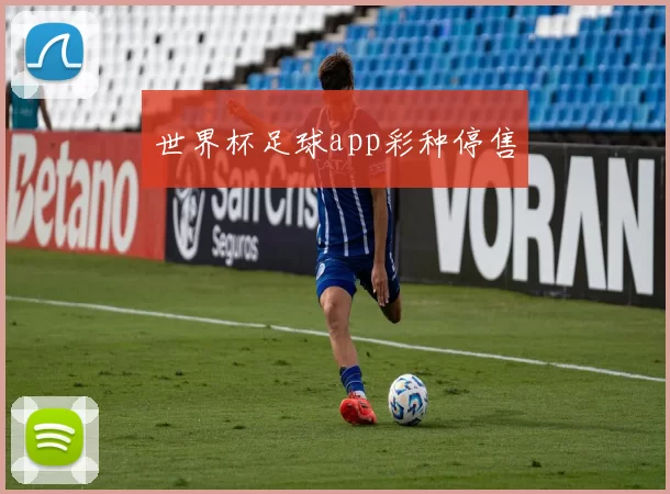 世界杯足球app彩种停售
