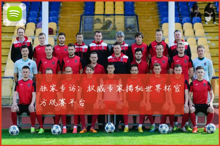 独家专访:权威专家揭秘世界杯官方观赛平台